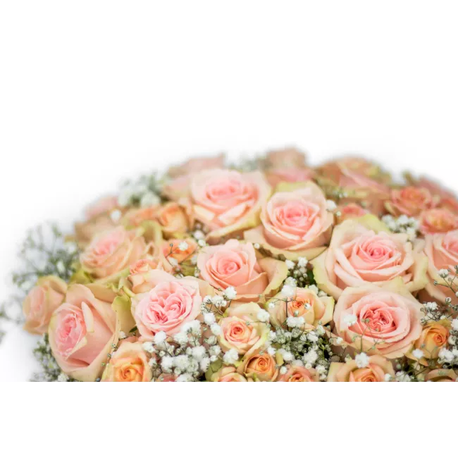 Flower box of roses